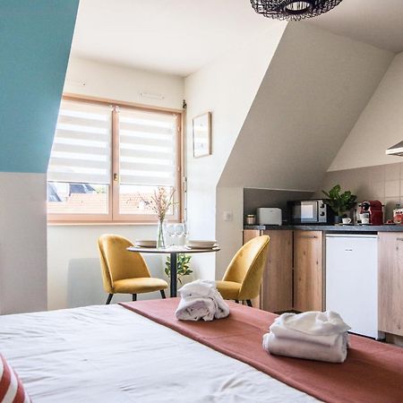 Apartmán Lumineux - L'Oasis - Parking Prive Štrasburk Exteriér fotografie