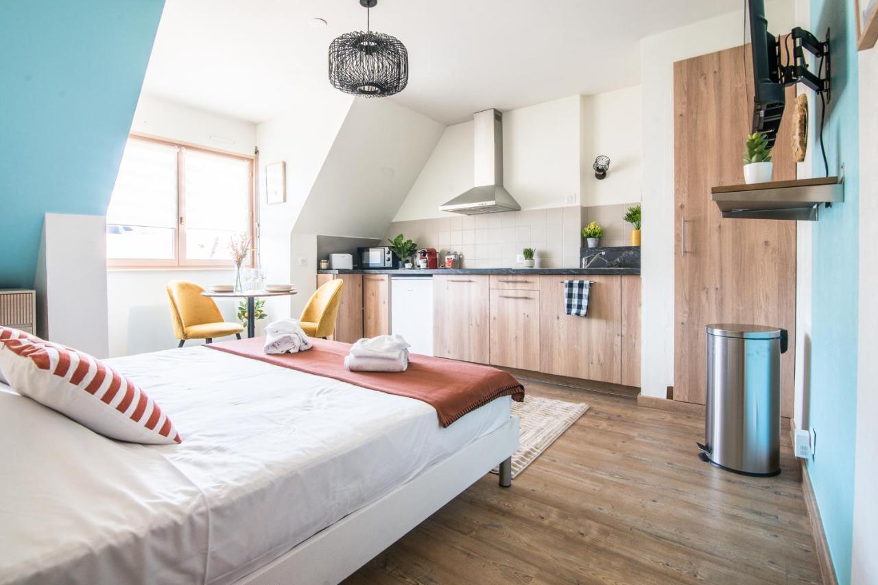 Apartmán Lumineux - L'Oasis - Parking Prive Štrasburk Exteriér fotografie