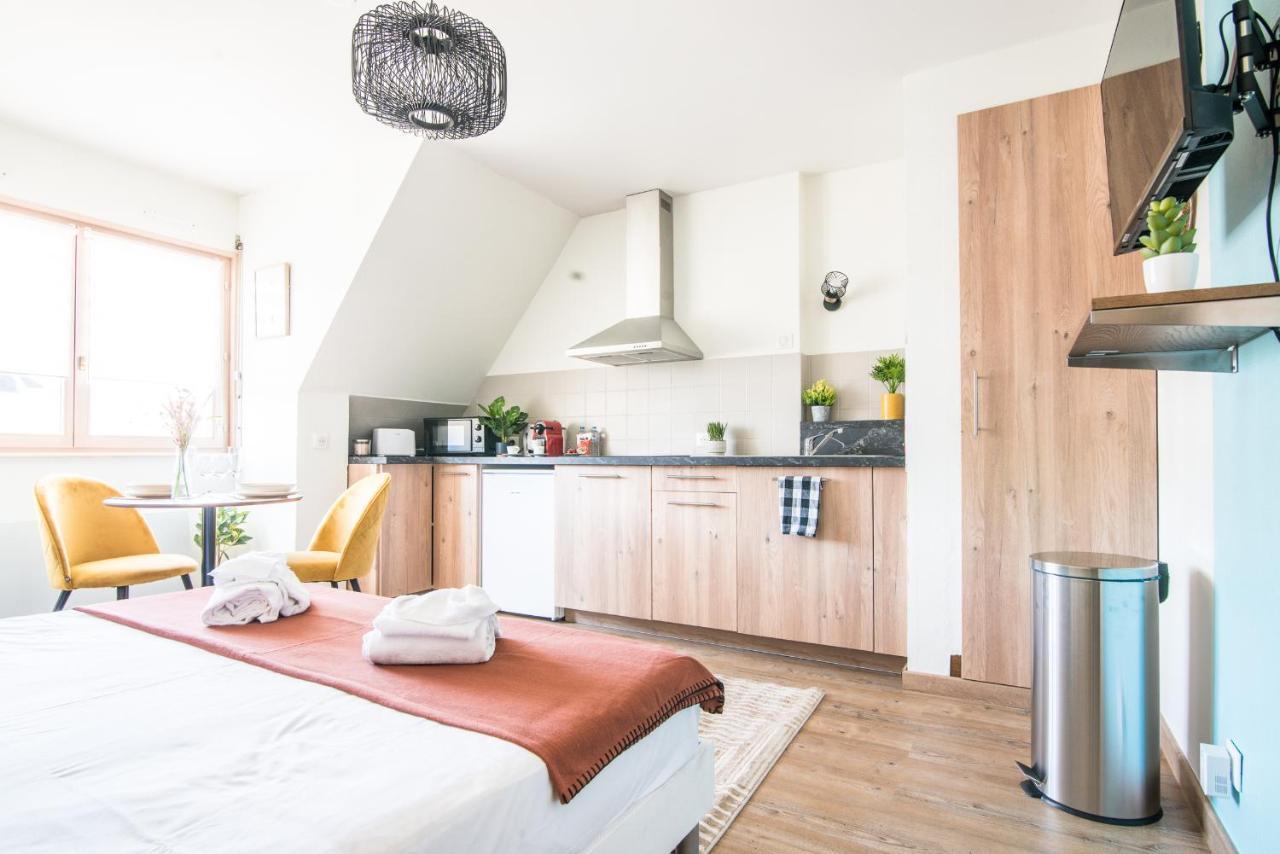 Apartmán Lumineux - L'Oasis - Parking Prive Štrasburk Exteriér fotografie